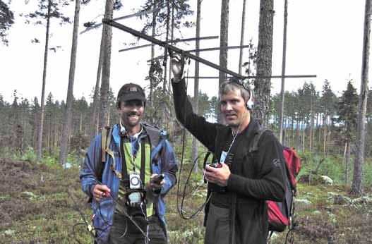 Dyrene felles ikke lovlig og de gjenfinnes ikke døde ute i naturen. Hvor blir dyrene av? Politiet i Hedmark har funnet noen av dem.