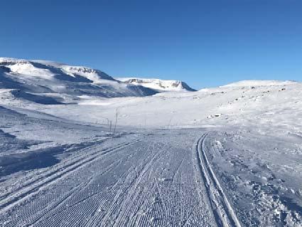 Ikke - kirurgisk behandling av lungekreft nå og i fremtiden.