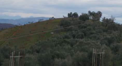 Në jug të luginës së përroit të Lushnjës, njësia gjeomorfologjike vazhdon me vargun kodrinor Pekisht-Murriz Peqini.