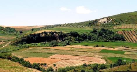 Shembjen në formën e rrëshqitjeve janë konstatuar edhe në fshatrat Kurtinë dhe Kupas. Në Kurtinë procesi i ngjason më shumë rrëshqitjes se sa shembjes.