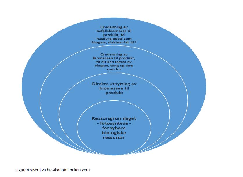 Modellen viser verdikjeda i bioøkonomien. Ressursgrunnlaget er fotosyntesa og verdiskapinga og meriverdien av dei biologiske ressursane aukar desse lenger ut i kjeda.
