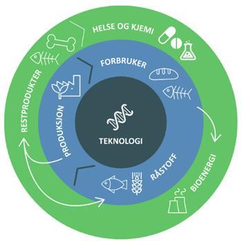 PRIORITERTE DRIVKREFTER Dei prioriterte drivkreftene i bioøkonomistrategien er samarbeid, kunnskap og teknologi som teknologioverføring frå olje- og gassnæringa.