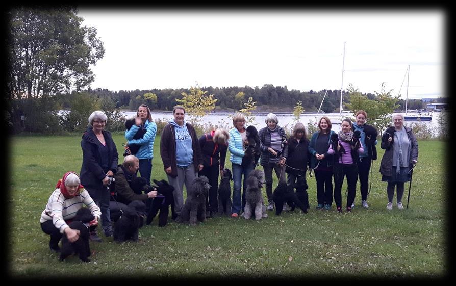 Puddeltreff 19. september på Blommenholm. Det var nok en flott ettermiddag på «sletta».