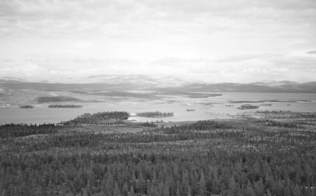 Trygve Nesset Tyding av namn ved Femunden Elvenamnet Kvenna kjem av kvann og ikkje kvern Kvennvika er ei 3 kilometer lang, smal vik på vestsida av Femunden, ei halv mil nordafor Buvika.