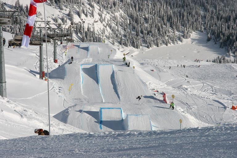 Til torsdag 08.02 OL- grener Freestyle/Freeski Freestyle er en gren i skiidrett hvor man benytter alpint skiutstyr.