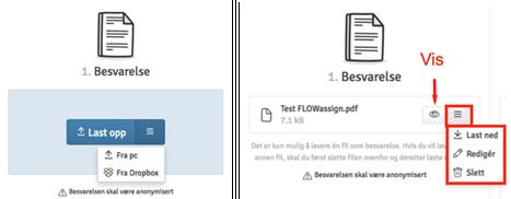 1. Laste pp besvarelse Under «Besvarelse» laster du pp innleveringsfilen. Du kan nrmalt kun levere én fil. Du kan gså laste ned g slette filer. OBS! Legg merke til at kun PDF-filer er gdtatt.