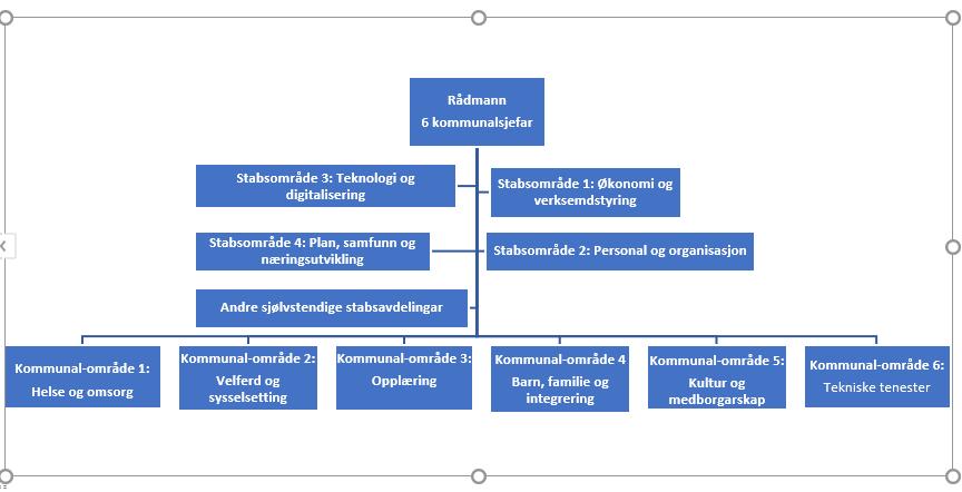 Eit hierarkisk organisasjonskart har til hensikt å gi eit tydeleg bilete av dei formelle styringslinjene.