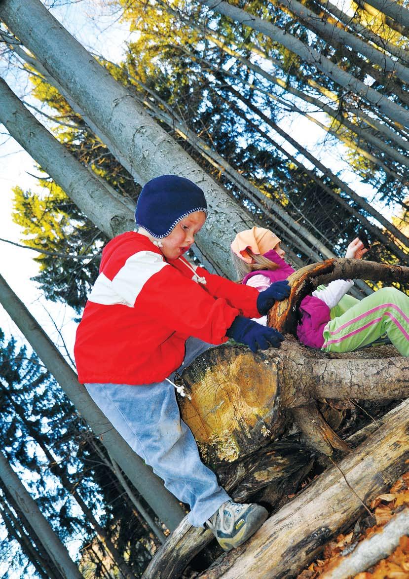 Podblega{ke letnik 15, številka 1 januar 2011