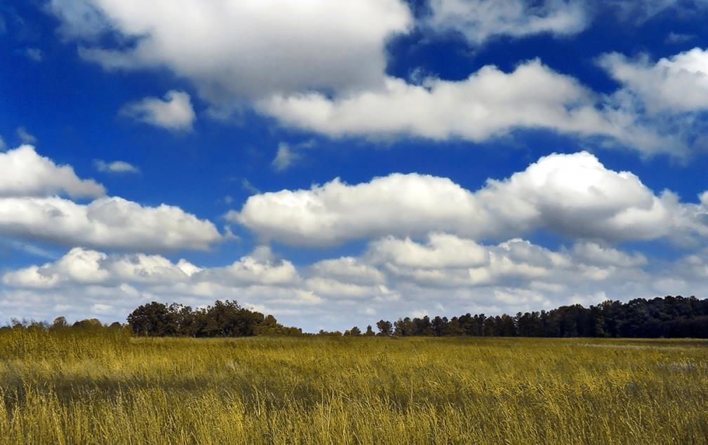 Cumulus (Haugskyer) Enkeltstående, tette skyer med skarpe konturer.