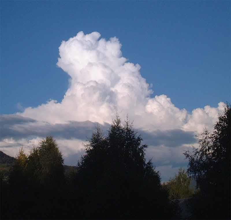 Cumulus Congestus Skyen er høyere enn den er bred 600-6000 moh. En pigg begynner å vokse ut på toppen.