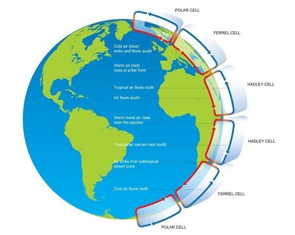 Luftstrømmer Luften ved ekvator varmes opp, stiger og lager et lavtrykksbelte. Luften presses opp, avkjøles og synker ned igjen. Lignende kretsløp (celler) finnes også nord og sør for ekvator.