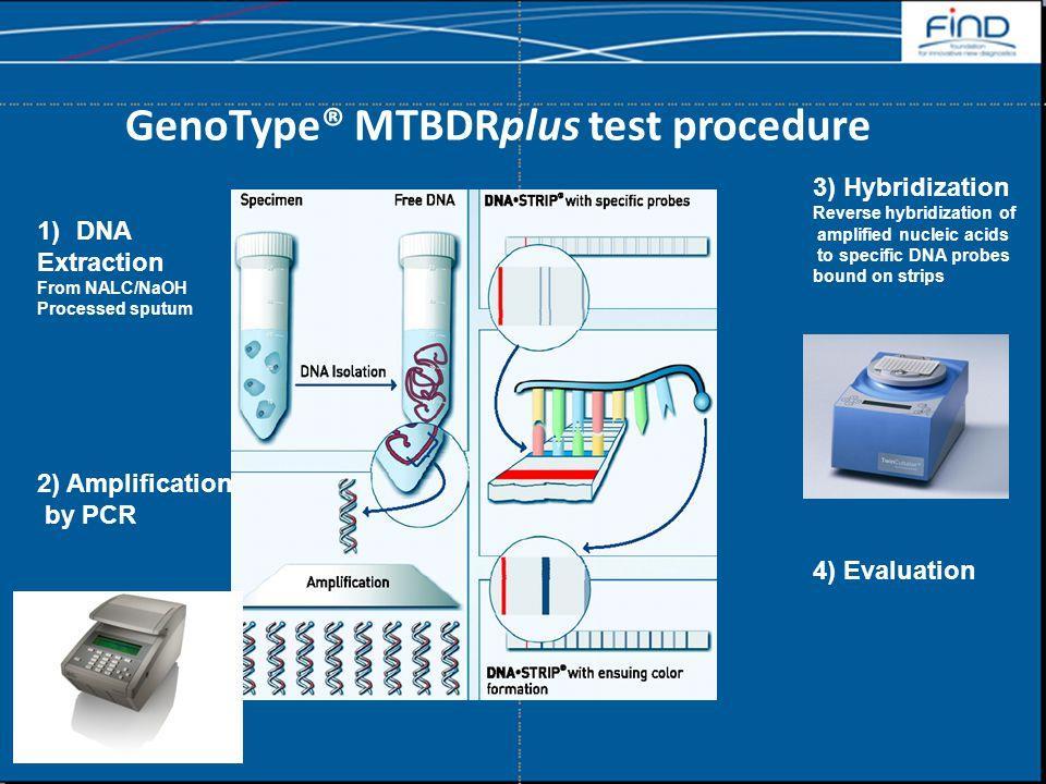 x. 5 hours Approx. Line Probe 5 hours Assay (LPA) Hain Conjugate Control Amplification Control M.
