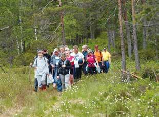 JUNI JUNI Tur til Apesland, Kveddan og Havsåsknuten Naturlostur til høyeste toppen i Finsland, Havsåsknuten (414 moh.) som blir høyeste topp i «nye» Kristiansand kommune.