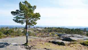 AUGUST AUGUST 26 26 26 Lordehytta - Ordførerens tur i Åseral Langt inne i fjellheimen ligger den storslåtte Lordehytta, bygget av Lord Salvesen tidlig på 1900-tallet.