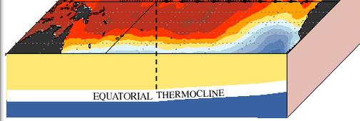 Typiske tilstander under El Niño - Havet 3) En dypere termokline i det sentrale og