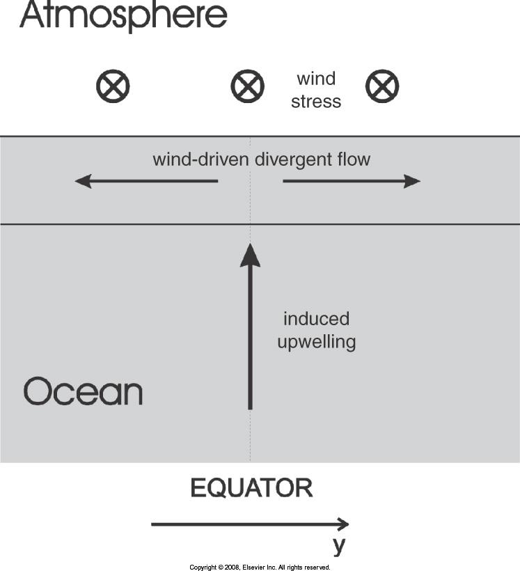 Nøytrale tilstander Passatvindene (trade winds) langs ekvator