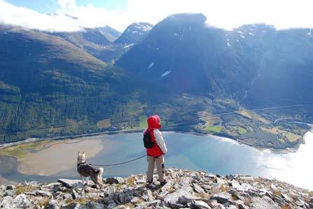 PERSTINDEN / VIRRANVÁRRI 917 moh En markert fjellprofil over Nordkjosbotn med høyt, stupbratt og nakent flåg på sørsida. Østsida av fjellet, der løypa går opp, er frodig. Flott utsikt fra toppen.