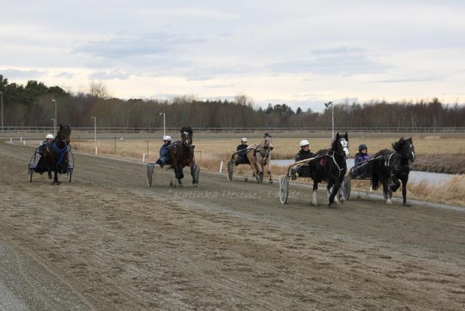 Fellestrening og rutinekjøring: Gjennom året har det vært flere fellestreninger og rutinekjøringer med åpen hestekafé.