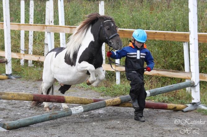 Hesteorienteringen 2015: For 6. år på rad arrangerte vi hesteorientering.