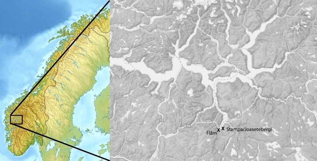 1 Innledning og bakgrunn Joasetbergi er en liten del av det ustabile fjellpartiet Stampa (Aurland Kommune), som har vært kartlagt siden 2005.