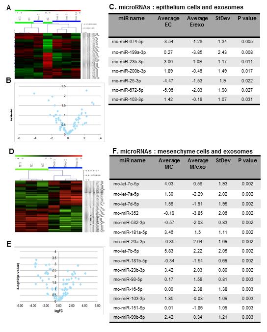 Supplementary Figure S6. mirnas differentially expressed from those in their parent cells by statistical significance.