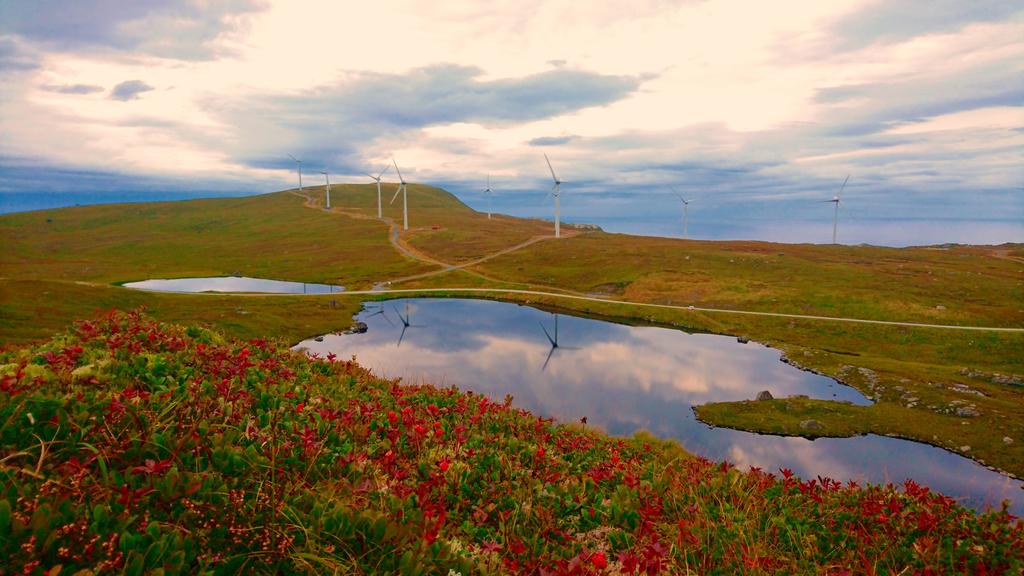 MEHUKEN Eid av Østfold Energi og Vardar Driftes av Zephyr