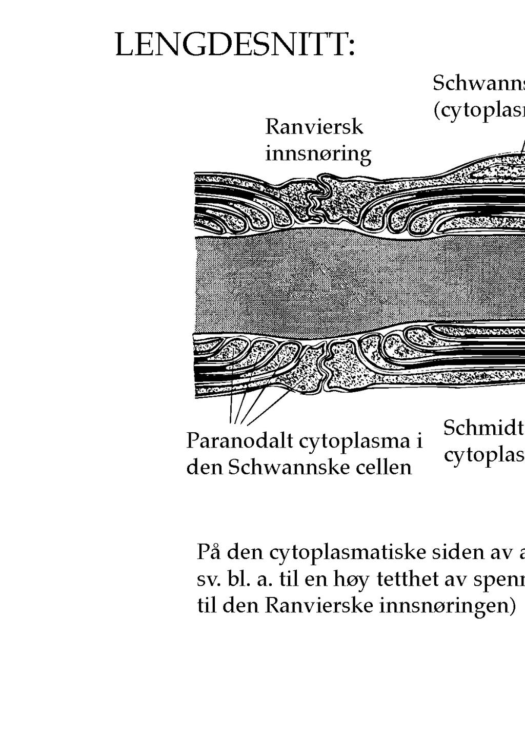 Fra Peters et al.