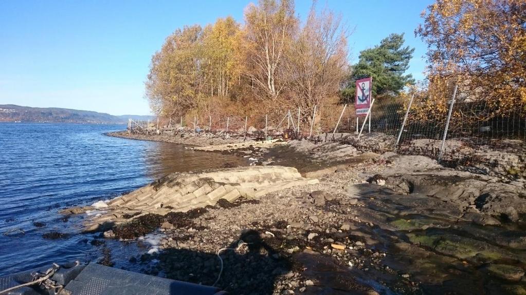 Figur 5. Blåskjellstasjon B4 på Langøya. Det ble innsamlet blåskjell på sanden og mellom steinene i matta med sementblokker. Stasjonen er nærmest bedriftens utslipp til sjø. Figur 6.