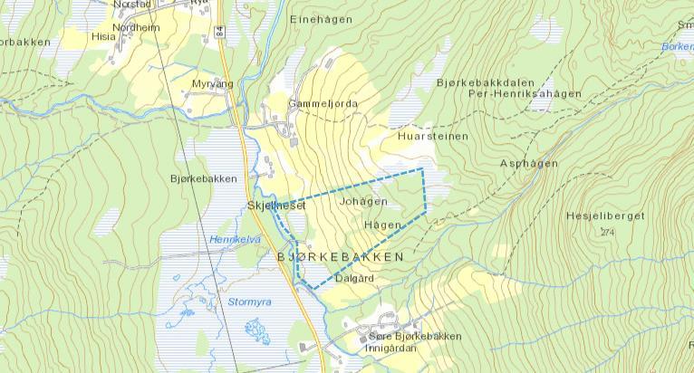 Byggeområder Bjørkebakken Innspill nr: 14 BA2 Bjørkebakken Eiendom G/nr 9/86 og 9/32 Beskrivelse av Åpent innmarksbeite med kortvokst lauvskog området Beskrivelse av tiltaket Bolig- og