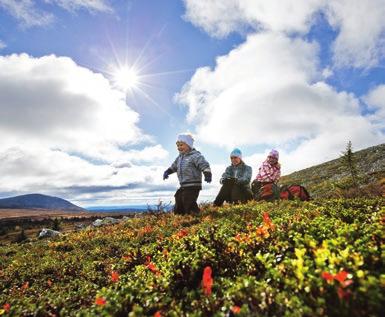 Trysil har på kort tid blitt den ledende