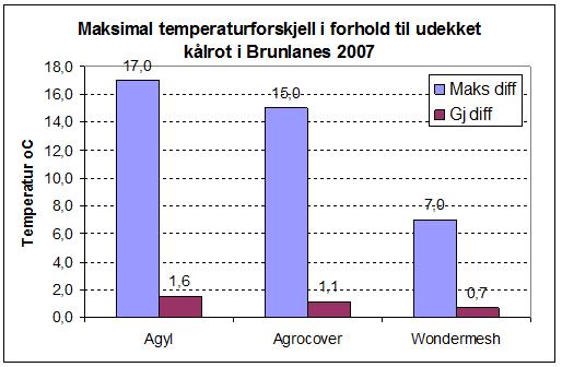Konklusjon i 2007: Udekket areal ga klart den største og fineste kålrota Kålrota dekket med agrylduk var minst.
