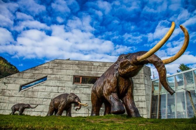 Norsk Bremuseum Norsk Bremuseum og Ulltveit-Moe senter for klimaviten lokalisert i Fjærland har satsa på å vere eit interaktivt bremuseum for heile familien.