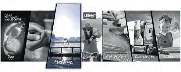 ORGANISERING AV MILJØ OG BÆREKRAFT Øverste ansvarlige leder er konsernleder. Kvalitet, Miljø og CSR ansvarlig, er ansvarlig for å koordinere arbeidet for alle selskap i Lerøy Seafood Group.