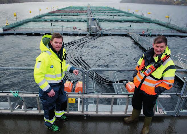 Far og sønn, Harry og Sven Åge Hauge på lokaliteten Skaftå i Sjøtroll Havbruk. Begge med lang erfaring innen havbruk.