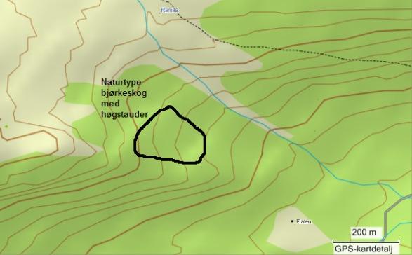 Kartfesting av naturtypelokalitet bjørkeskog med høgstauder Basert på tidligere avgrensing (i rapport fra 2009), flyfoto og notater gis det et forsøk på å avgrense naturtypelokaliteten mer eksakt.