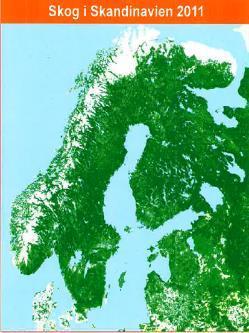 Skognæringen kan bidra vesentlig til økt verdiskapning og sysselsetting, og samtidig bidra til å løse den globale