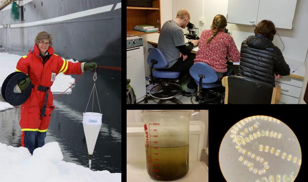Innsamling og analysering av planteplankton i iskantsonen nord for Svalbard. Foto: T. Gabrielsen (venstre) og C. H.