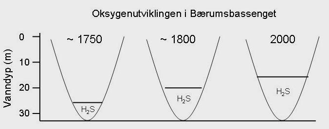 1. Innledning Bærumsbassenget er i dag et delvis anoksisk basseng (se Alve mfl. 2009 for en områdebeskrivelse og en beskrivels av hydrografiske forhold).