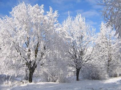 Barna har undret seg over julekulene som henger på avdelingen og juletreet som er pyntet julekuler de har laget selv.