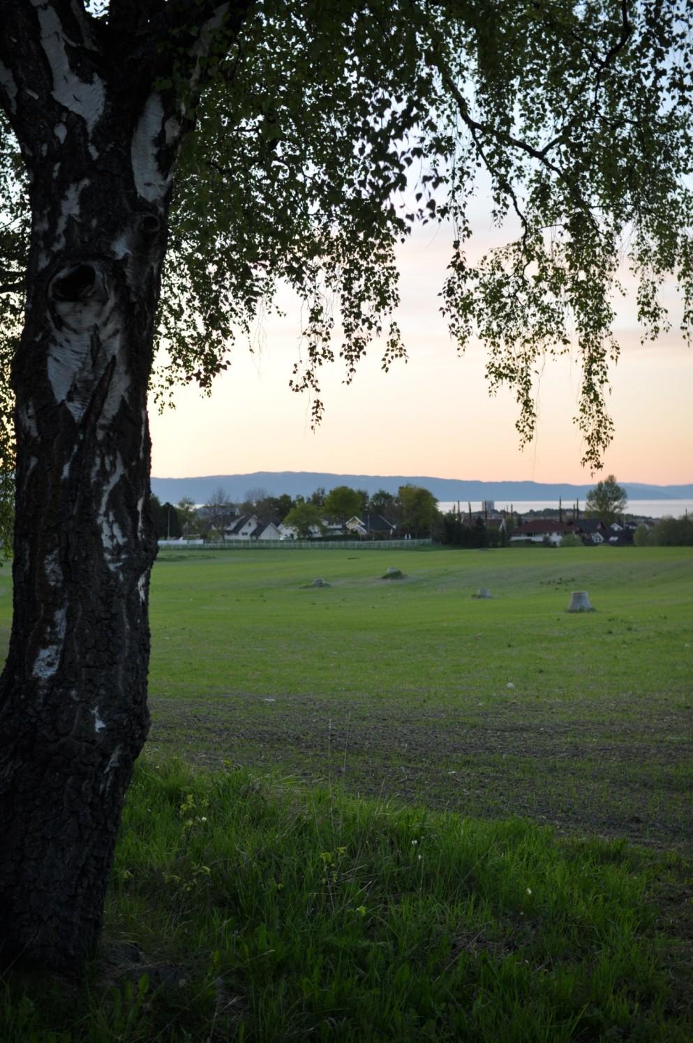 Klimatilpasning på Brøset Vegen videre Viktig å sette av tilstrekkelig med arealer til de ulike funksjnene sm skal fylle utermmene/ grøntmrådene.