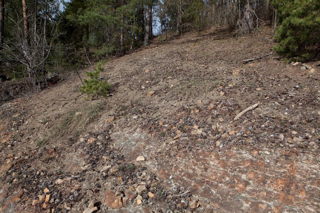 Sammendrag Stiftelsen BioFokus har på oppdrag fra Pecunia AS foretatt biologiske undersøkelser på eiendommen med gbnr 39/98 og adresse Galeasen 5 i Asker kommune. Eiendommen er ca 11,6 daa.