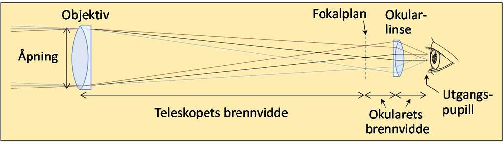 Viktige begreper Forstørrelsen = (Teleskopets brennvidde) / (Okularets brennvidde) Forstørrelsen endres ved å bytte okular.