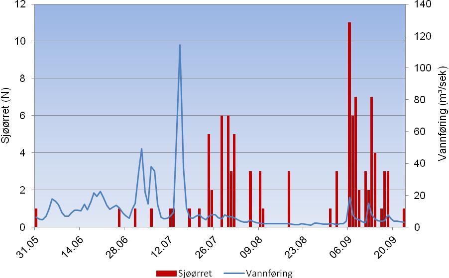 3.3 Sjøørret Det ble registrert totalt 72 netto oppvandrende kjønnsmoden sjøørret fra videoopptak i Skjoma i 2012, og ingen umodne sjøørret ble registrert.