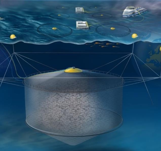Akvakultur i Norge - Utvikling Eksponert lokalitet Atlantis Subsea