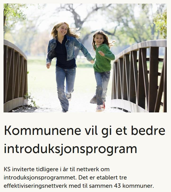 Effektiviseringsnettverk ASS de store kommunene Økonomi Tjenesteområder Helse / omsorg Skole