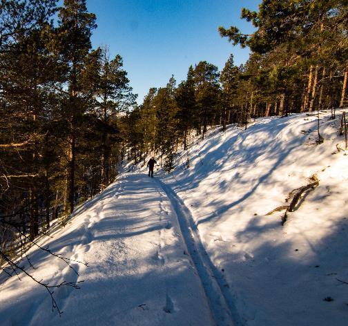 1.2 Driftssamarbeid 2017 Verneområdestyret har etablert samarbeid med eiere og drivere av åpne og tilgjengelige anlegg/tilbud for friluftsliv i Kvænangsbotn.