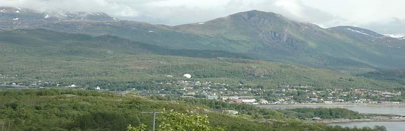 Kjerneområder er indre Helgeland i Grane og Hattfjelldal og i Saltdalen. Landskapstypen er og vanlig i Bindal og Brønnøy og i nord på Hamarøy og i Ofoten.