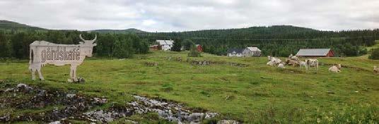 Gryteselvåsen i Hattfjelldal (LO 878, klasse 2) Rødås i Fauske (LO 516, klasse 3) Landskapskarakter Landskapstypen er tydelig preget av jordbruksdrift.