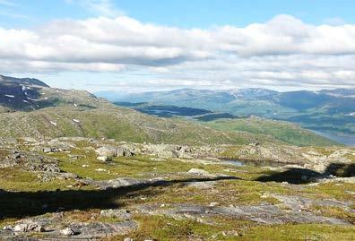 Landskapskarakteren er har et todelt preg, med et indre fjellpreg i innlandet til mer åpent kystfjellpreg i de mange kystnære lågfjella. Endringsfaktorer som kan påvirke landskapskarakteren.