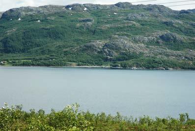 Melfjellet i Rana har store og markante skiftninger i berggrunn og vegetasjon (LO 1627, klasse 4) Øverloftet ovenfor Melfjordbotn er vanskelig tilgjengelig, men har høgspenn.